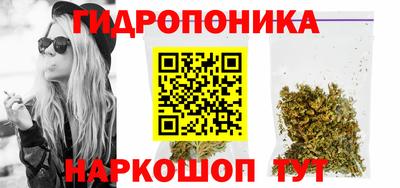 гидропоника Пенза