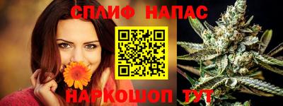 гидропоника Пенза