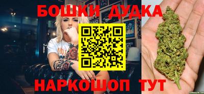 гидропоника Пенза