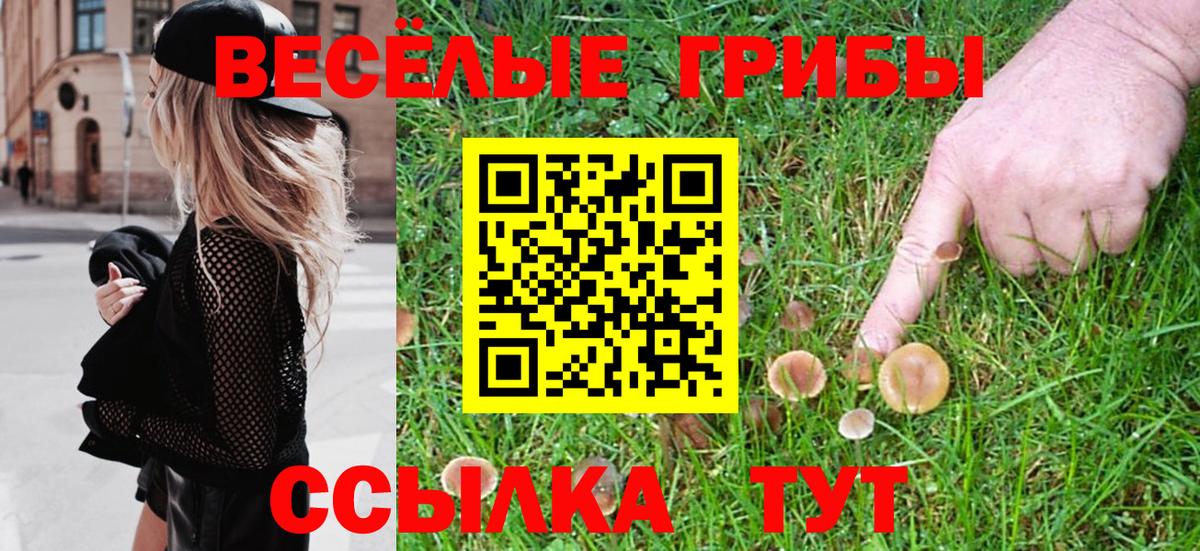 Псилоцибиновые грибы GOLDEN TEACHER  Псилоцибиновые грибы Psilocybine cubensis  Вход с VPN  Советский 