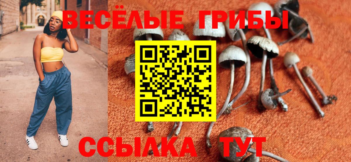 Псилоцибиновые грибы прущие грибы Советский